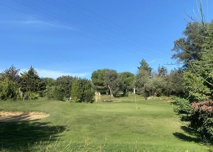 Palmeras En * Castell-Platja d’Aro