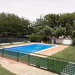 Palmeras En * Платья-де-Аро